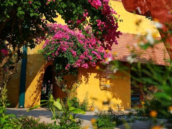 レウ・ダイニング（REU Dining）　食事券＆事前予約サービス　オーガニックの野菜やハーブを使った創作ベトナム料理 ＜送迎オプションあり／ホイアン＞