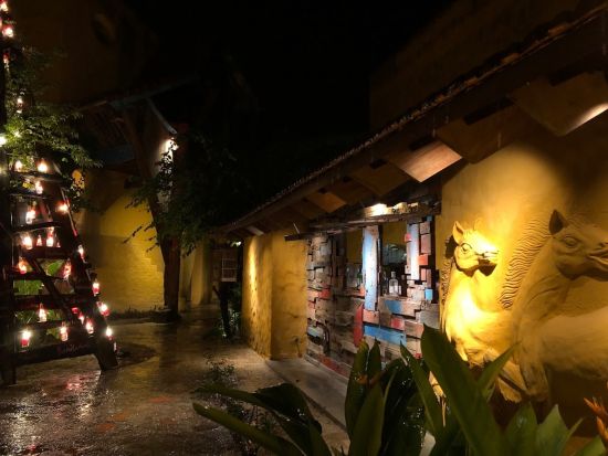 レウ・ダイニング（REU Dining）　食事券＆事前予約サービス　オーガニックの野菜やハーブを使った創作ベトナム料理 ＜送迎オプションあり／ホイアン＞