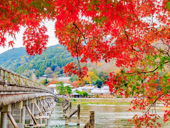 20211104065719_1472848602_3077_0