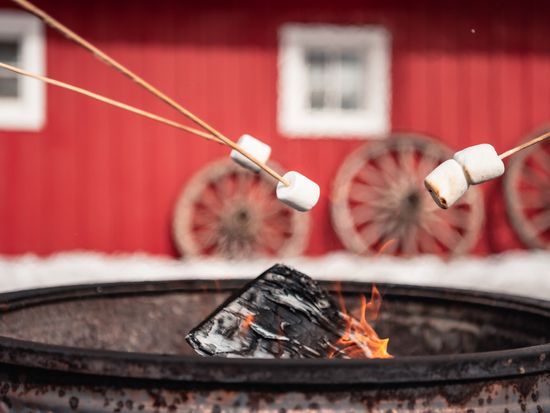 NorrisNiman-Sleigh Rides-052