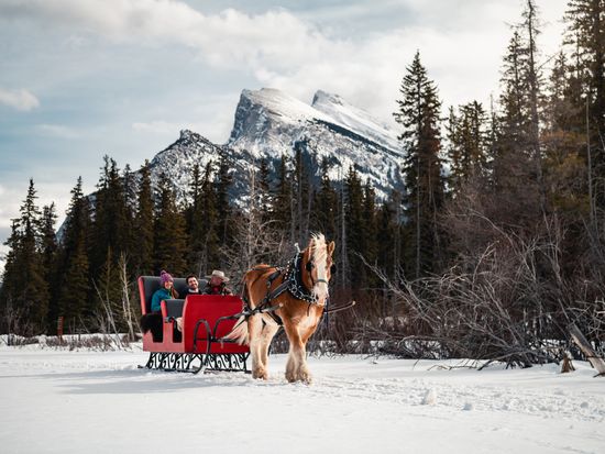 NorrisNiman-Sleigh Rides-064