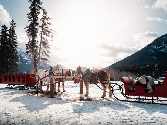 NorrisNiman-Sleigh Rides-003