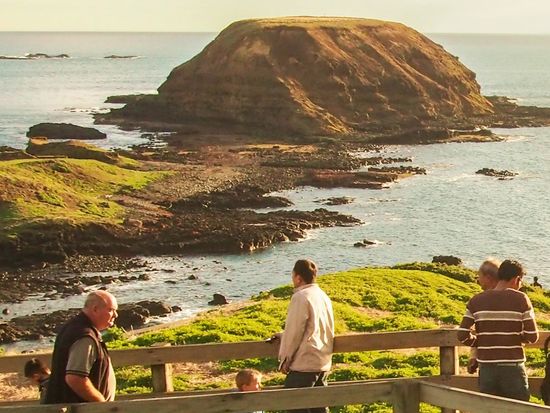 蒸気機関車パッフィンビリー＆フィリップ島ペンギンパレード1日ツアー　大自然とペンギンの行進を楽しむ！＜英語ガイド＞の写真2