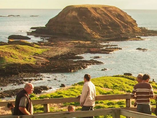 蒸気機関車パッフィンビリー＆フィリップ島ペンギンパレード1日ツアー　大自然とペンギンの行進を楽しむ！＜英語ガイド＞
