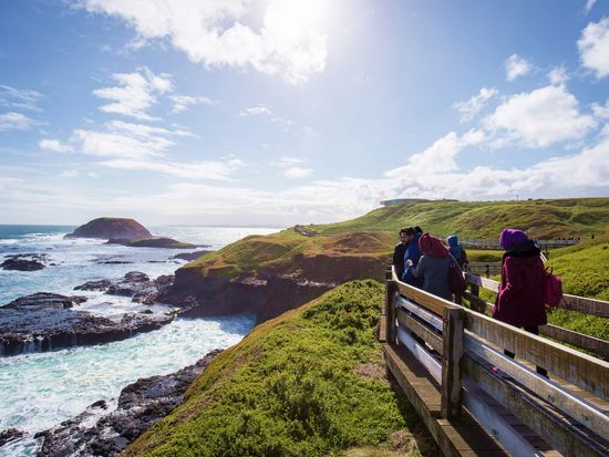 nobbies seal rock view lower res