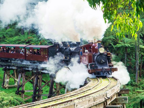 蒸気機関車パッフィンビリー＆フィリップ島ペンギンパレード1日ツアー　大自然とペンギンの行進を楽しむ！＜英語ガイド＞