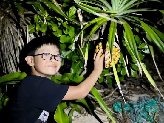 星空鑑賞＆ナイトツアー　星空保護区認定エリア八重山の天体ショーとジャングルナイトツアー！＜石垣島＞