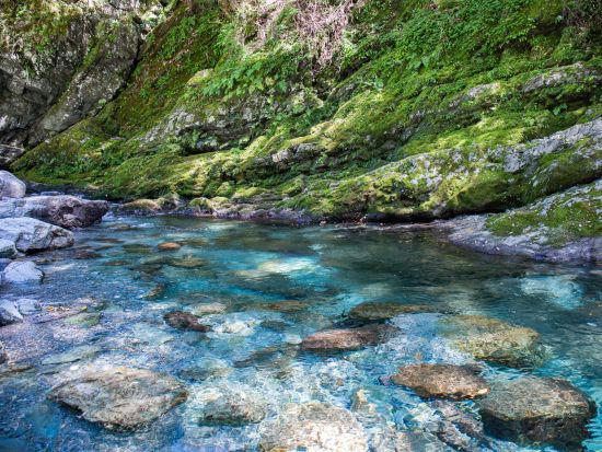 貸切観光タクシー 奇跡の清流・仁淀川を訪ねる旅 安居渓谷＋中津渓谷＜高知市内発着＞