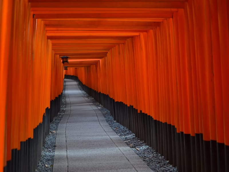 www.pakutaso.com_shared_img_thumb_c784_fusimiinari