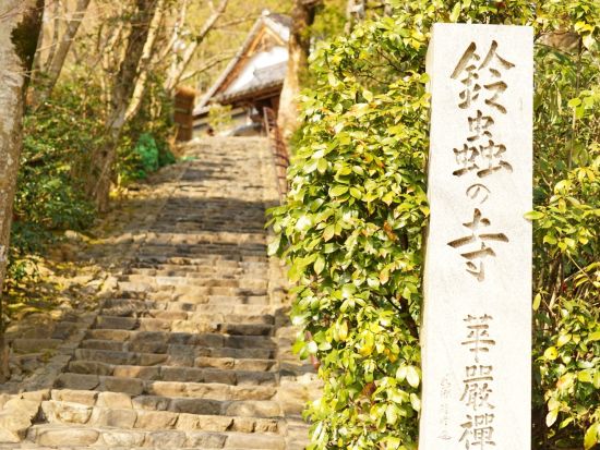 貸切観光タクシー 金閣寺＋嵐山＋美山かやぶきの里 アルファードまたはハイエースから選択＜8.5時間／定員5～9名／京都駅発＞byマツシマモビリティサービス