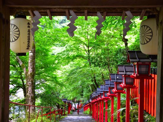 貸切観光タクシー 三千院＋宝泉院＋貴船神社 アルファードまたはハイエースから選択＜6時間／定員5～9名／京都駅発＞by マツシマモビリティサービス