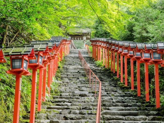 貸切観光タクシー 三千院＋宝泉院＋貴船神社 アルファードまたはハイエースから選択＜6時間／定員5～9名／京都駅発＞by マツシマモビリティサービス
