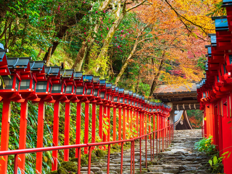 Japan_Kyoto_Kifune Shrine_pixta_80382996