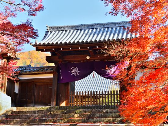 Jaapan_Kyoto_manshuinmonzeki_pixta_9971243