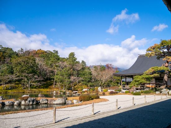 貸切観光タクシー 嵐山＋天龍寺＋祇王寺＋大覚寺 アルファードまたはハイエースから選択＜4時間／定員5～9名／京都駅発＞by マツシマモビリティサービス