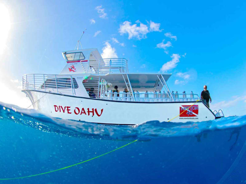 dive_oahu08