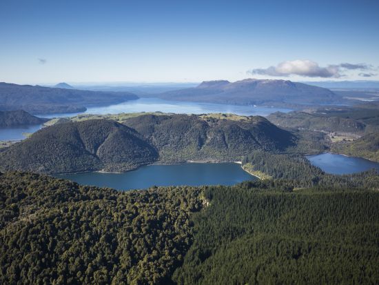 水上飛行遊覧ツアー　ニュージーランドの火山を空から観光！渓谷ツアー付きやハイキング付きなど選べるプラン＜ロトルア発＞