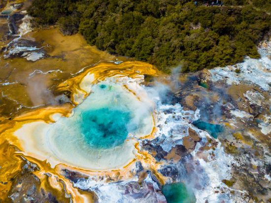 水上飛行遊覧ツアー　ニュージーランドの火山を空から観光！渓谷ツアー付きやハイキング付きなど選べるプラン＜ロトルア発＞
