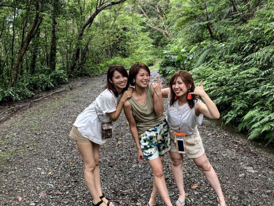 金作原原生林 散策ツアー 奄美認定ガイド平井さんがご案内 奄美の森をのんびり歩きながら亜熱帯の動植物や野鳥のさえずりに癒やされよう＜1～7名＞by 奄美愛ネット