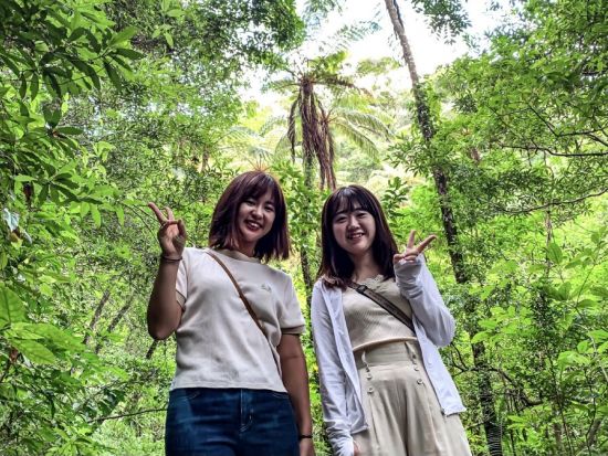 金作原原生林 散策ツアー 奄美認定ガイド平井さんがご案内 奄美の森をのんびり歩きながら亜熱帯の動植物や野鳥のさえずりに癒やされよう＜1～7名＞by 奄美愛ネット