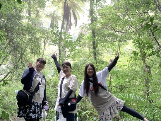 金作原原生林 散策ツアー 奄美認定ガイド平井さんがご案内 奄美の森をのんびり歩きながら亜熱帯の動植物や野鳥のさえずりに癒やされよう＜1～7名＞by 奄美愛ネット