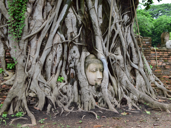 アユタヤ遺跡＋フォトジェニック＋象との触れ合い観光ツアー　 ピンクのガネーシャ＋ワットパクナム＋遺跡サンセット鑑賞＜1日／日本語ガイド／昼食＞