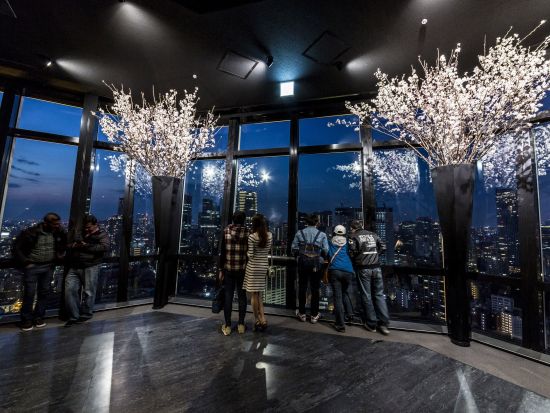 東京タワー メインデッキ（150m）入場チケット ＋東京タワーバンジーVR体験事前予約 ＜土日祝＞