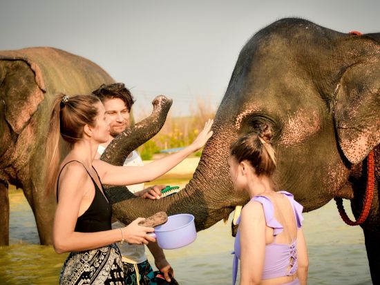 パタヤ日帰りツアー　サンクチュアリー・オブ・トゥルース＋エレファント・ジャングル・サンクチュアリー　象さんとふれあい体験＜夕食付き／日本語ガイド／バンコク発＞