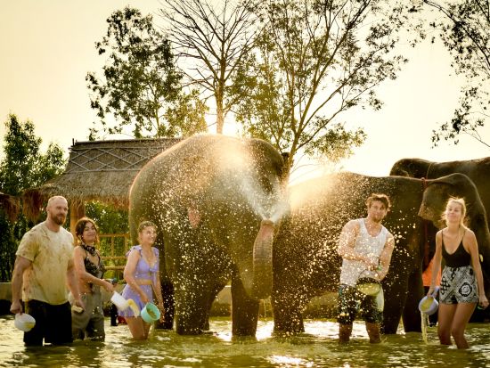 パタヤ日帰りツアー　サンクチュアリー・オブ・トゥルース＋エレファント・ジャングル・サンクチュアリー　象さんとふれあい体験＜夕食付き／日本語ガイド／バンコク発＞