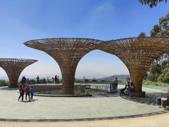 アディスアベバ美術館+コーヒーテイスティングツアー＜空港or市内発着／英語ガイド／貸切／午前or午後＞