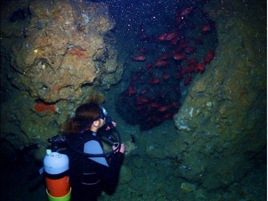 【星空＆夜光虫・ナイトダイビング】地元沖縄人ガイドと神秘的な夜の青の洞窟へ！大人気GoPro写真＆動画無料！ 口コミ＆写真満足度高評価！＜恩納村＞