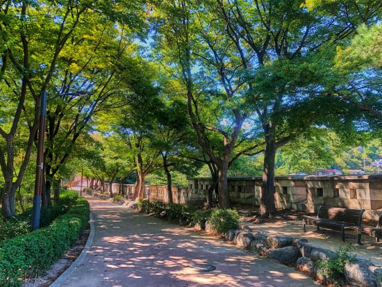 「となりのMr.パーフェクト」ソウルドラマロケ地巡り！思い出のバナナ牛乳付き＜午前／ホテルお迎え付／日本語ガイド＞