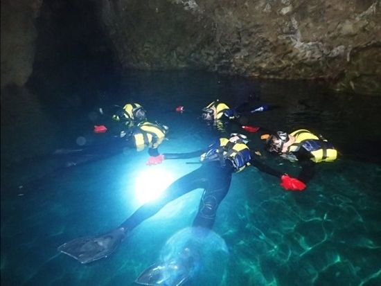 11000001763908_cgWfErX3_4