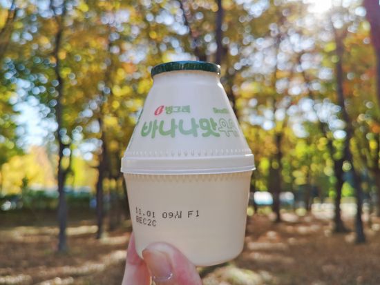 Korea_Generic_Banana milk_pixta_108056141_M