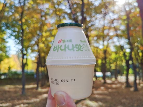 「となりのMr.パーフェクト」ソウルドラマロケ地巡り！思い出のバナナ牛乳付き＜午前／ホテルお迎え付／日本語ガイド＞