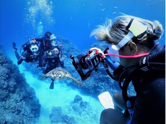慶良間体験ダイビング＆シュノーケリング ウミガメが生息する人気ポイントでケラマブルー満喫＜1日／1～2ダイブ／写真データ無料／ガイド貸切／那覇市内送迎／那覇発＞