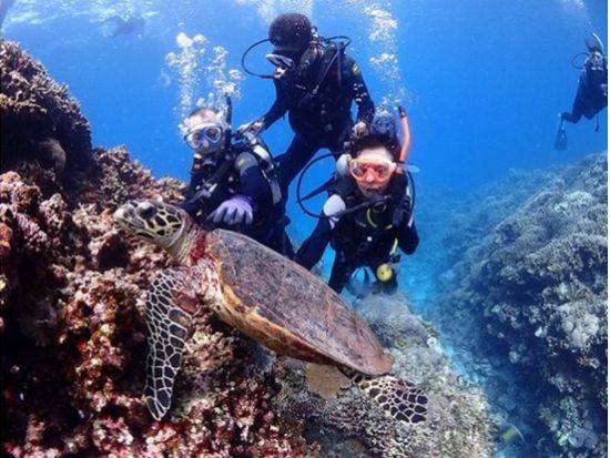 慶良間ファンダイビング ダイバーが恋した人気スポットで満喫♪初心者＆ブランクダイバー大歓迎＜1日／2ダイブ／写真データ無料／那覇市内送迎／那覇発＞
