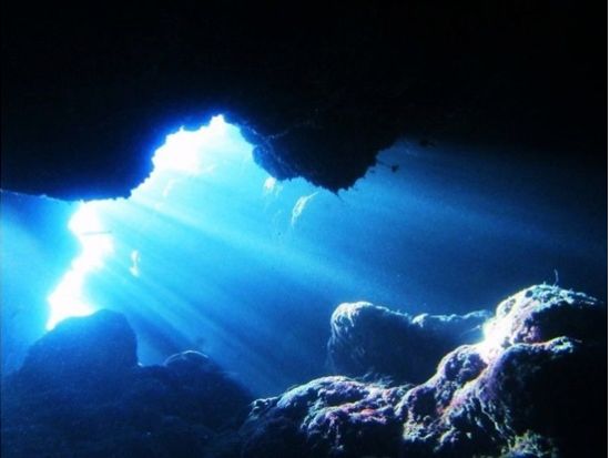 慶良間ファンダイビング ダイバーが恋した人気スポットで満喫♪初心者＆ブランクダイバー大歓迎＜1日／2ダイブ／写真データ無料／那覇市内送迎／那覇発＞