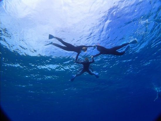 11000000787715_zb5zo9cR_4