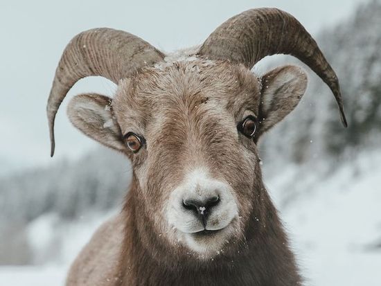 65e62c2a9866df1d61230ea7_image 6