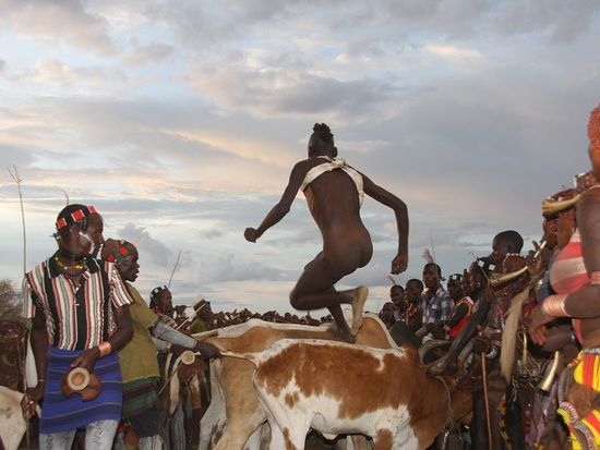 bull jumping