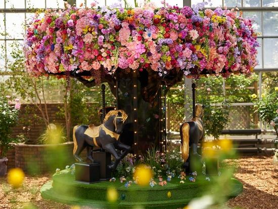 18JUB_39c8ee21-b036-444a-8ea7-f8