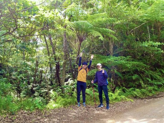 トレッキングツアー ガイド貸切！亜熱帯の森で沖縄ならではの植生を観察　選べる3時間 or 5.5時間コース＜10~5月／やんばる（東村）＞