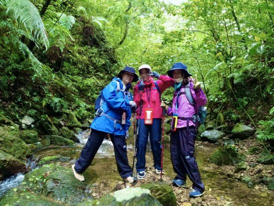 トレッキングツアー ガイド貸切！亜熱帯の森で沖縄ならではの植生を観察　選べる3時間 or 5.5時間コース＜10~5月／やんばる（東村）＞