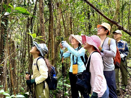 トレッキングツアー ガイド貸切！亜熱帯の森で沖縄ならではの植生を観察　選べる3時間 or 5.5時間コース＜10~5月／やんばる（東村）＞