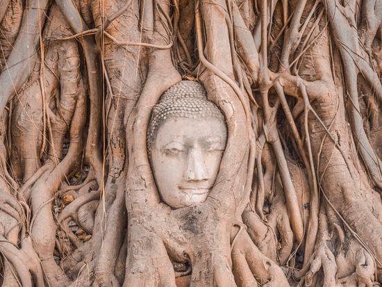 ワットマハタート