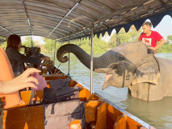 アユタヤ遺跡巡りとサンセット鑑賞＋メークロン線路市場＋ワットパクナム観光ツアー　メークロン乗車体験付き＜1日／昼食／日本語ガイド＞