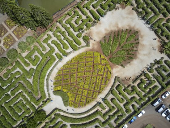 ノースショア（ハレイワ）観光　ドールプランテーション＋ハレイワタウン自由散策　日本語サポート付き英語ガイドがご案内する半日ツアー