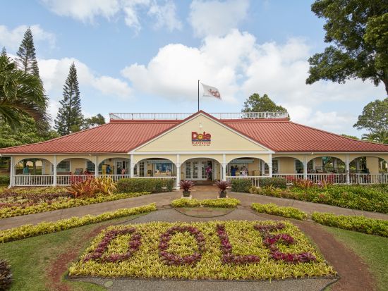 ノースショア（ハレイワ）観光　ドールプランテーション＋ハレイワタウン自由散策　日本語サポート付き英語ガイドがご案内する半日ツアー