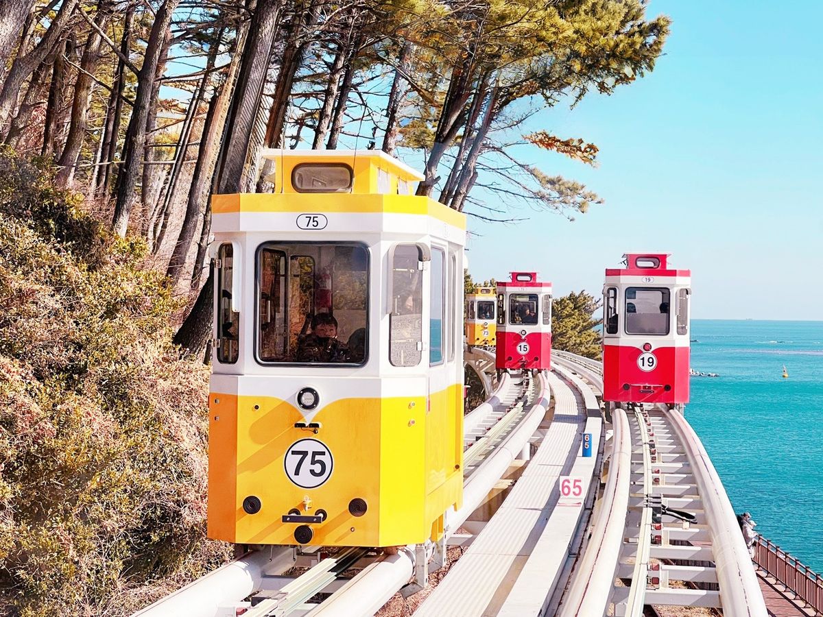 一人旅おすすめツアー | 韓国 旅行の観光・オプショナルツアー予約